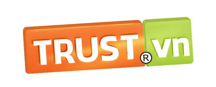 Công ty thiết kế website bds Trust.vn