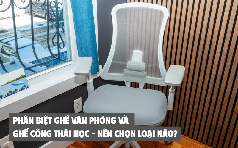 phân biệt ghế văn phòng và ghế công thái học